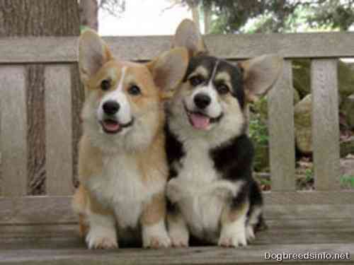 Brothers