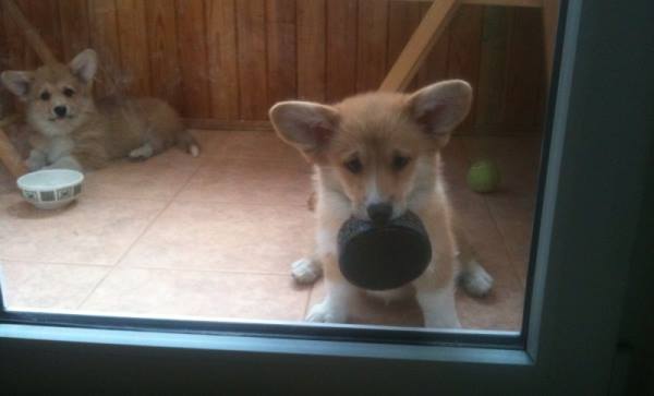 Feed Me