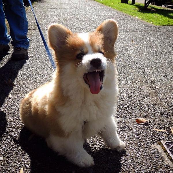 Funny Face