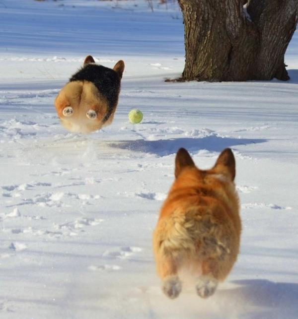Mid Flight