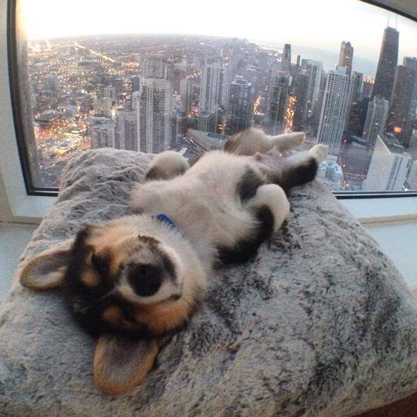 Nap Time