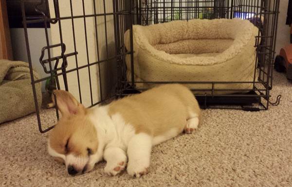 Sleeping