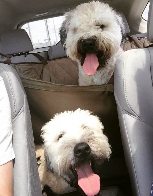 Road Trip