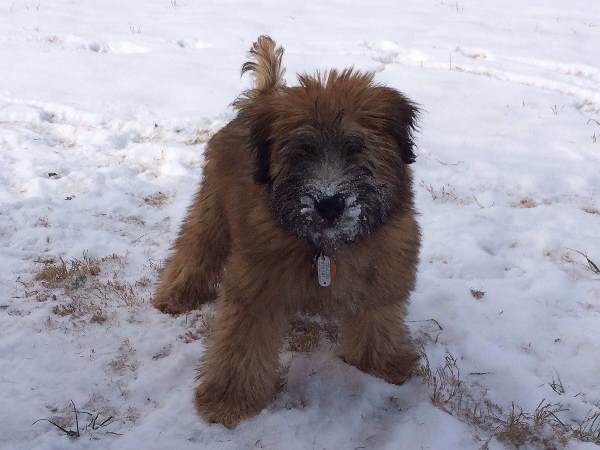 Snow