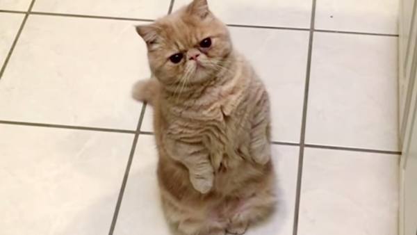 Cute
