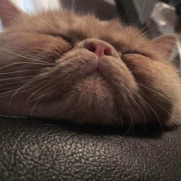 George Sleeping