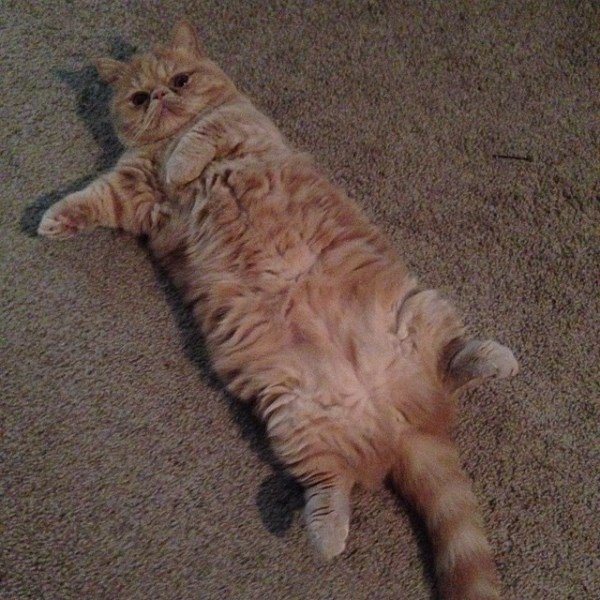 Laying Down