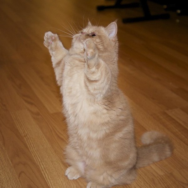 Reaching