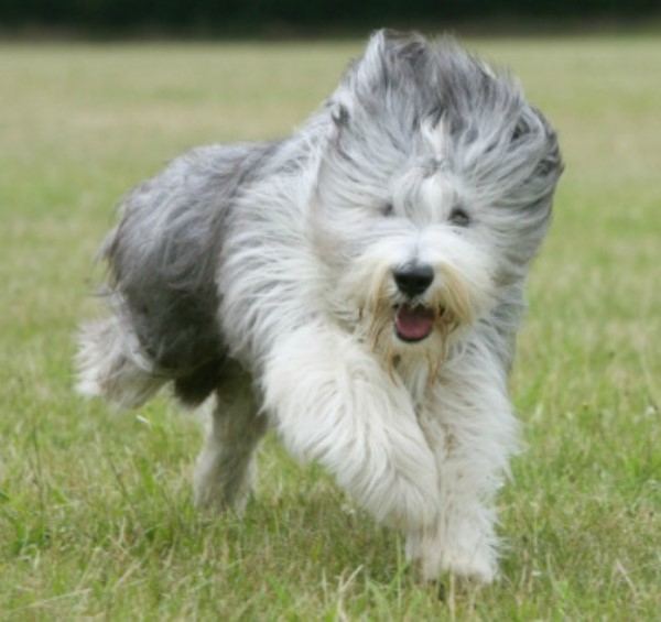Fluffing