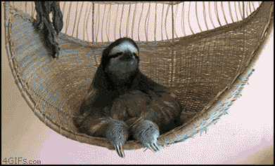 Deal With It Sloth Gif